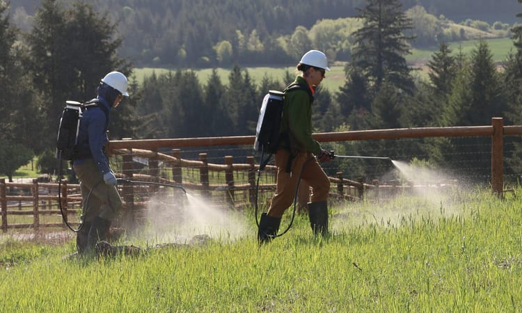 What are Herbicide Effects on Soil Biology?