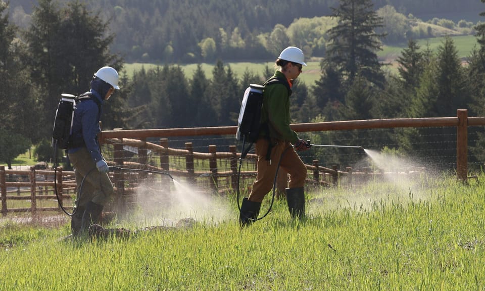 What are Herbicide Effects on Soil Biology?